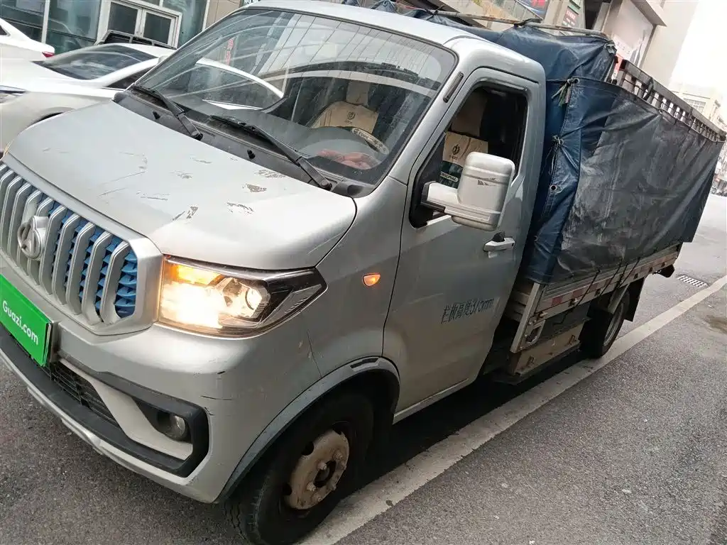 Changan Shenqi T30EV 2023 Truck Comfort Type