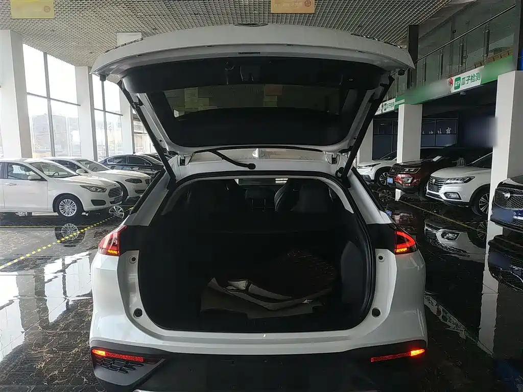 AION LX 2019 model 70