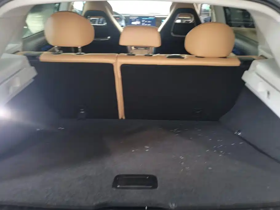 Zero run C11 2024 Extended Range 300 Exclusive Edition