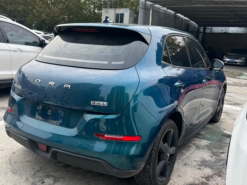 Euler Good Cat 2024 401km Luxury Type