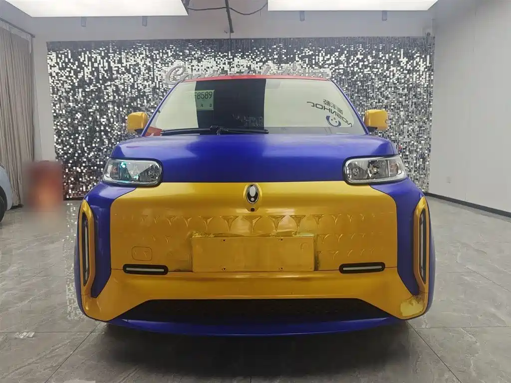 Euler White Cat 2022 Little Wild Cat Version 360km Luxury Ternary Lithium