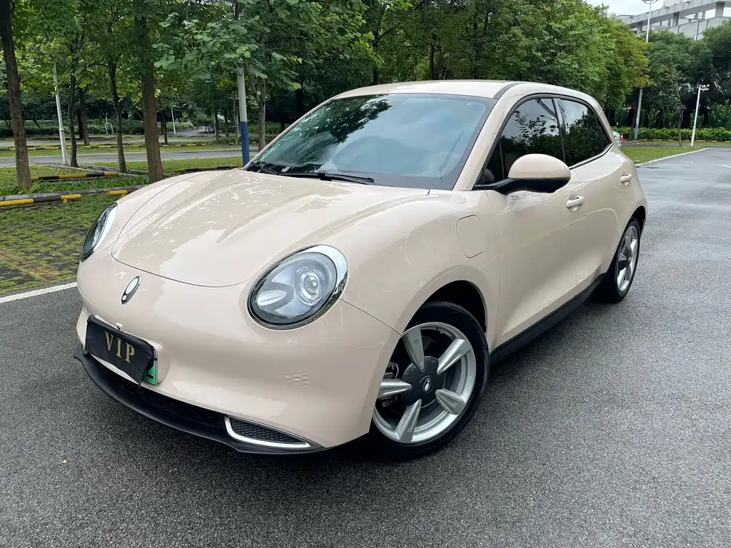 Euler Hermes 2023 401km standard battery life Luxury Lithium iron Phosphate