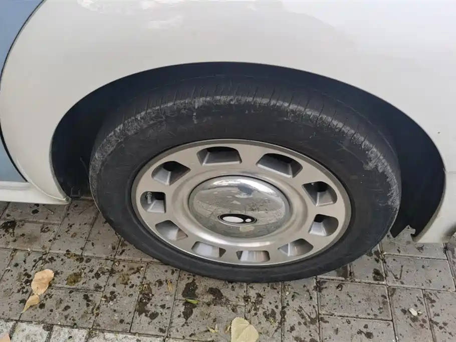 Euler Ballet Cat 2022 401km Nutcracker Edition