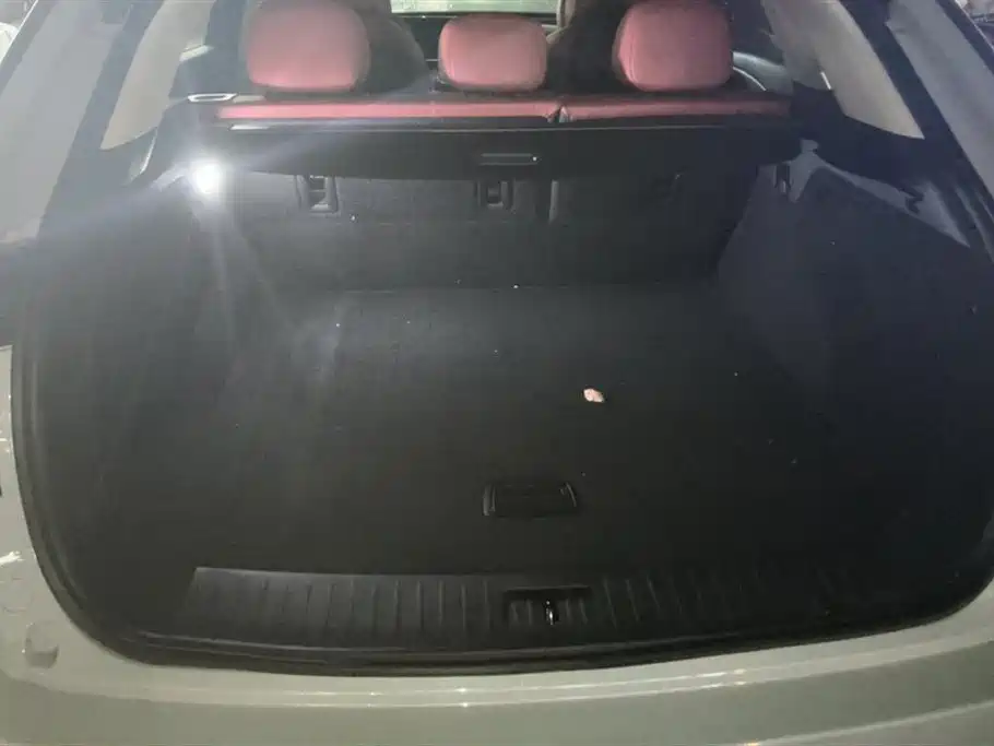 Xingtu Yaoguang 2023 400T Two-wheel drive Premium Edition