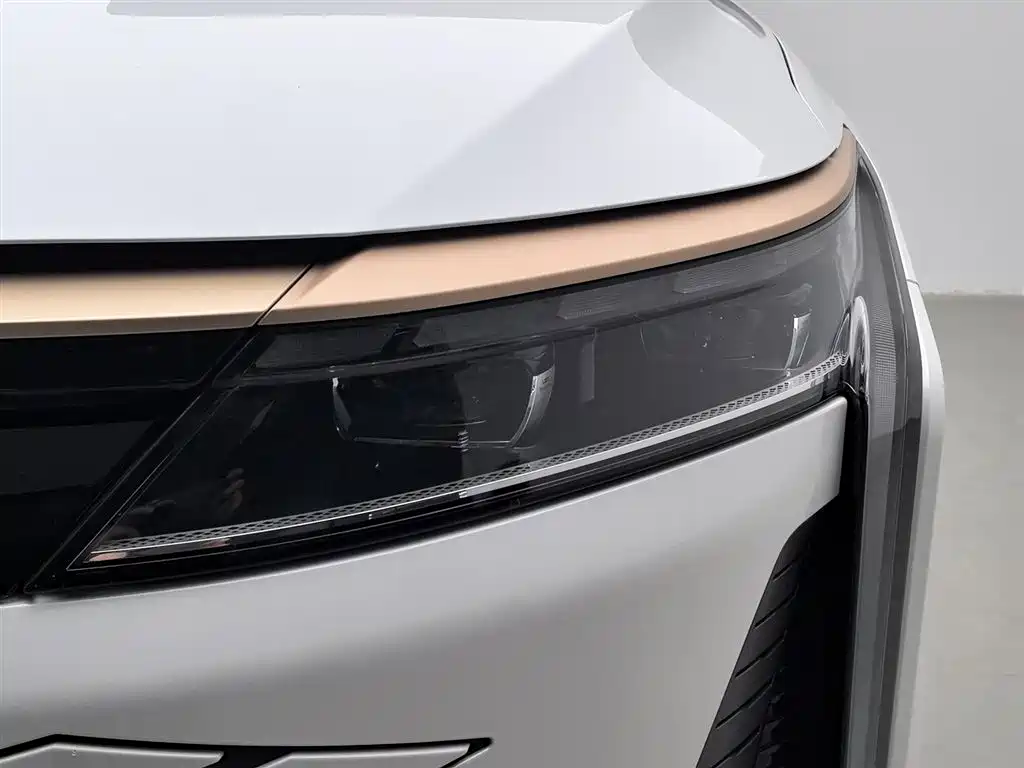 Xingtu Yaoguang 2023 400T Two-wheel drive Premium Flying Fish Version