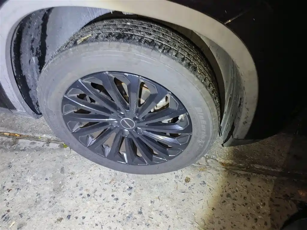 Xingtu Lingyun 2021 290T Two-wheel drive Xingyao Version