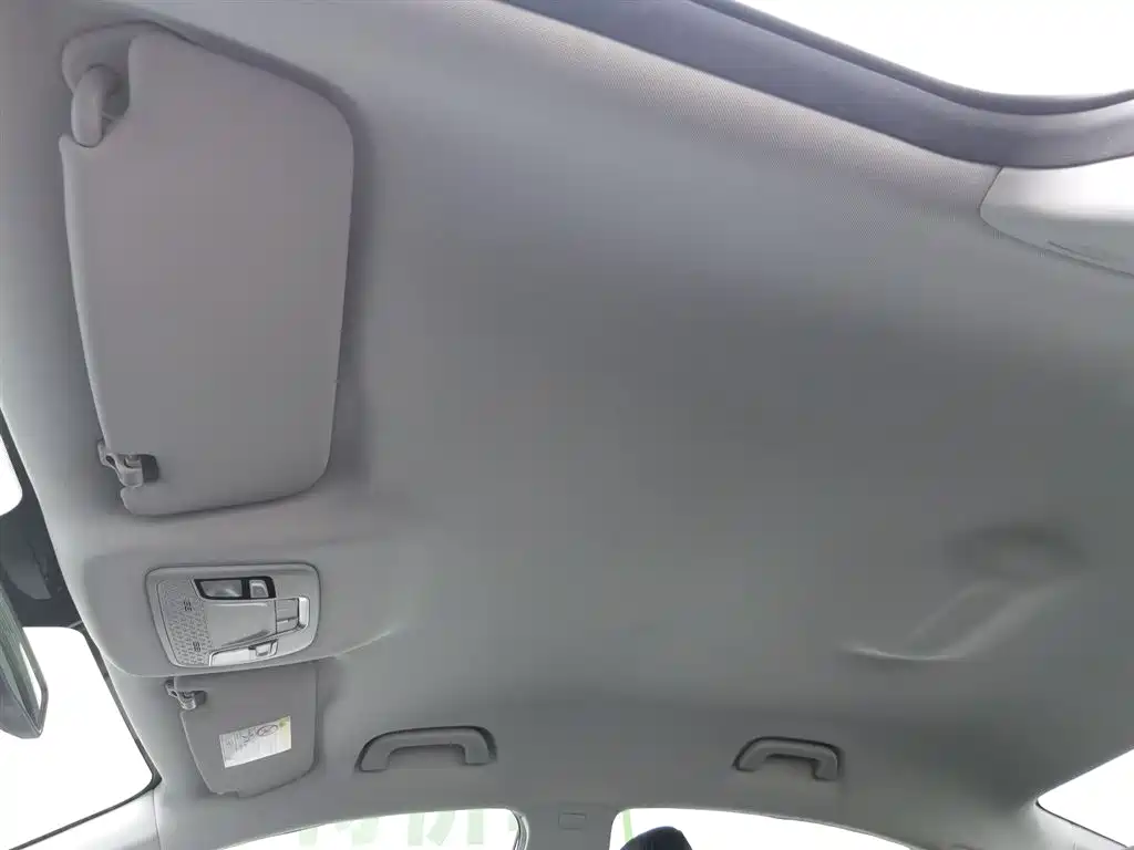 Maple Leaf 60s 2022 model facelift easy version Lithium iron phosphate