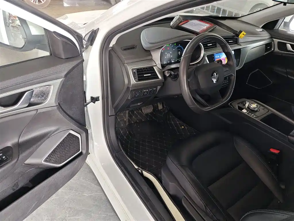 Maple Leaf 60s 2022 model facelift easy version Lithium iron phosphate