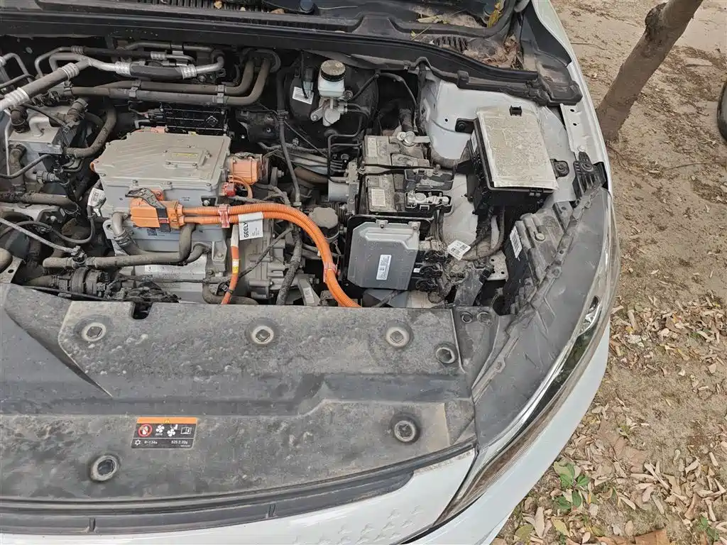 Maple Leaf 60s 2022 model facelift easy version Lithium iron phosphate