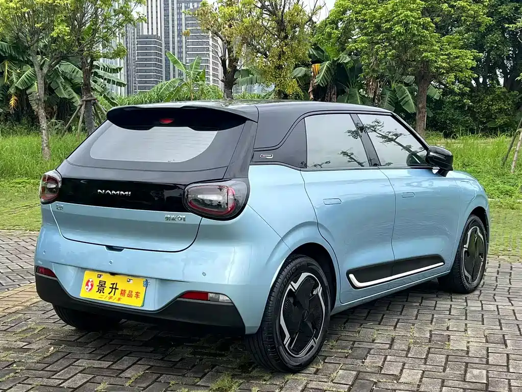 Nano 01 2024 model 330 Plus Smart+