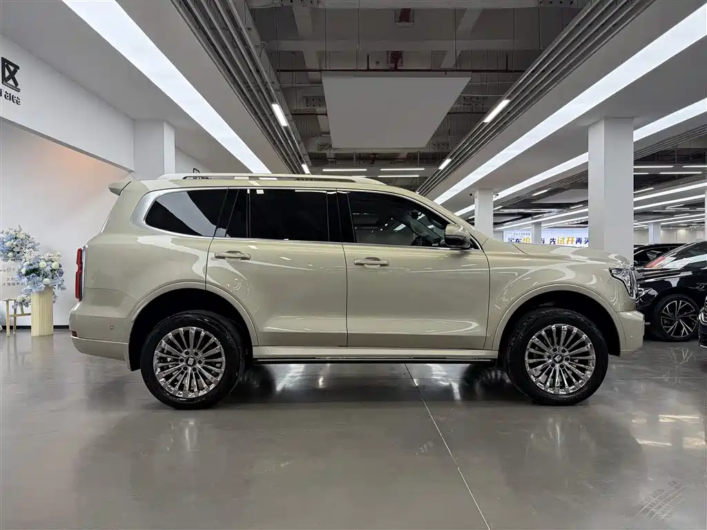 Tank 500 2022 model 3.0T Business Edition Peak type 7 seats