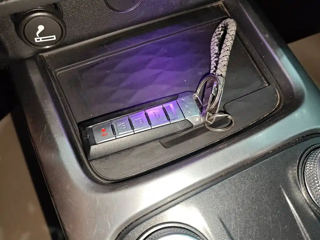 Tank 300 2021 Off-road version 2.0 T Conqueror