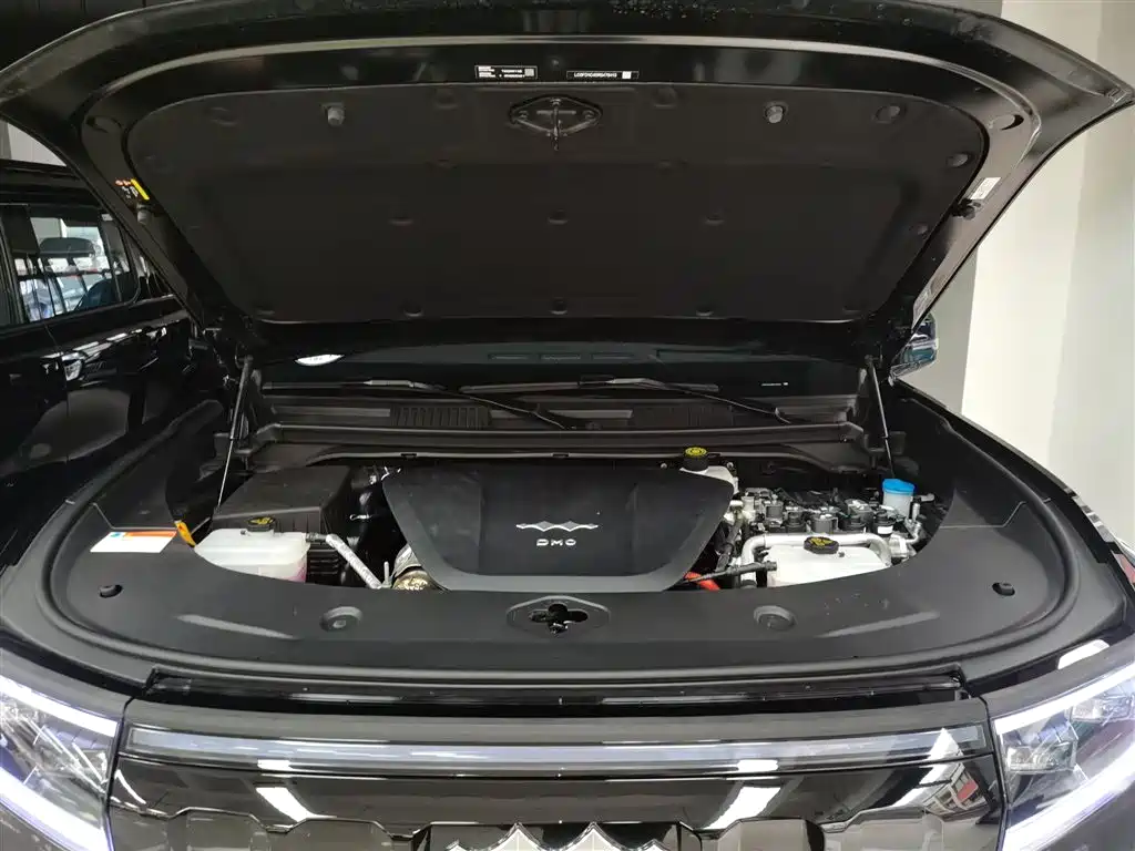 Leopard 8 2025 Zhiyong Ultimate Edition 6 Seats