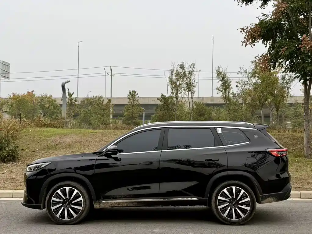 Fengyun T8 2025 1.5T 130km Comfort version 5 seats