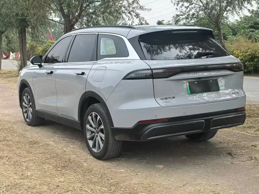 Fengyun T9 2024 120 long battery life version comfortable 7-seater ternary lithium