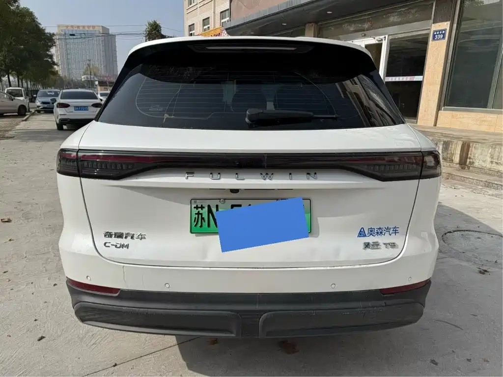 Fengyun T9 2024 120 long battery life version comfortable 5-seater ternary lithium