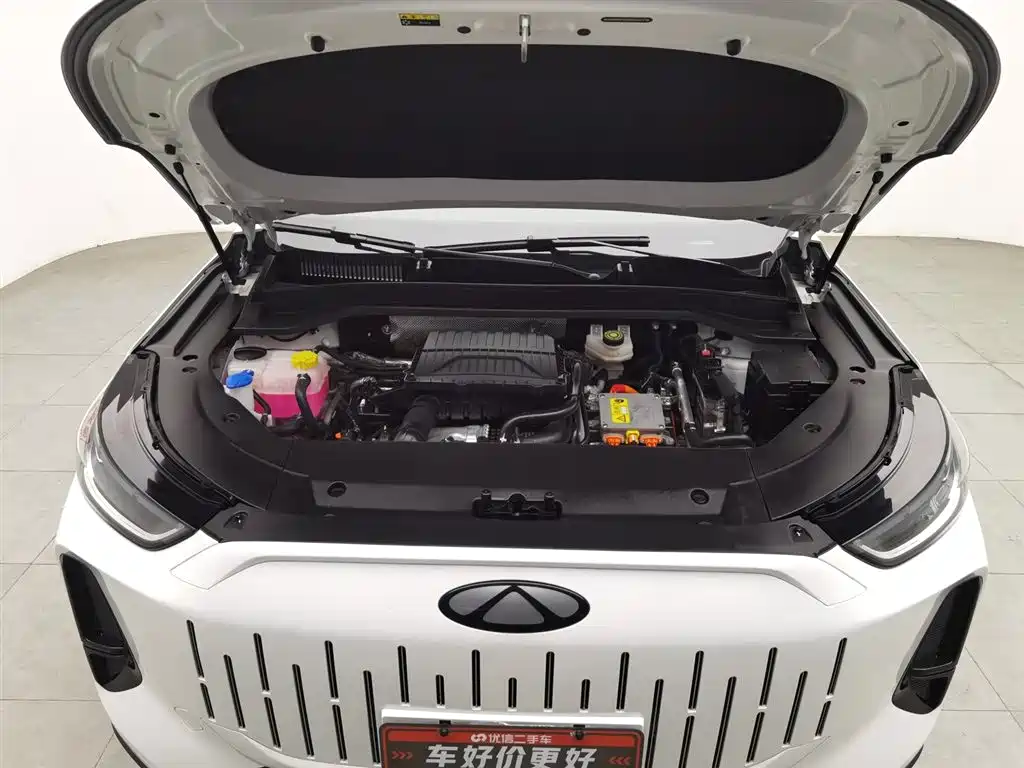 Fengyun T9 2024 120 long battery life version comfortable 5-seater ternary lithium