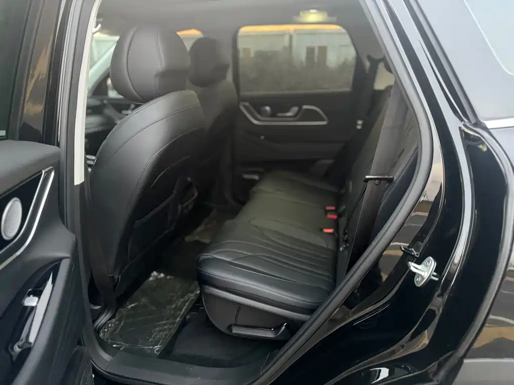 Fengyun T9 2024 120 long battery life version comfortable 7-seater ternary lithium