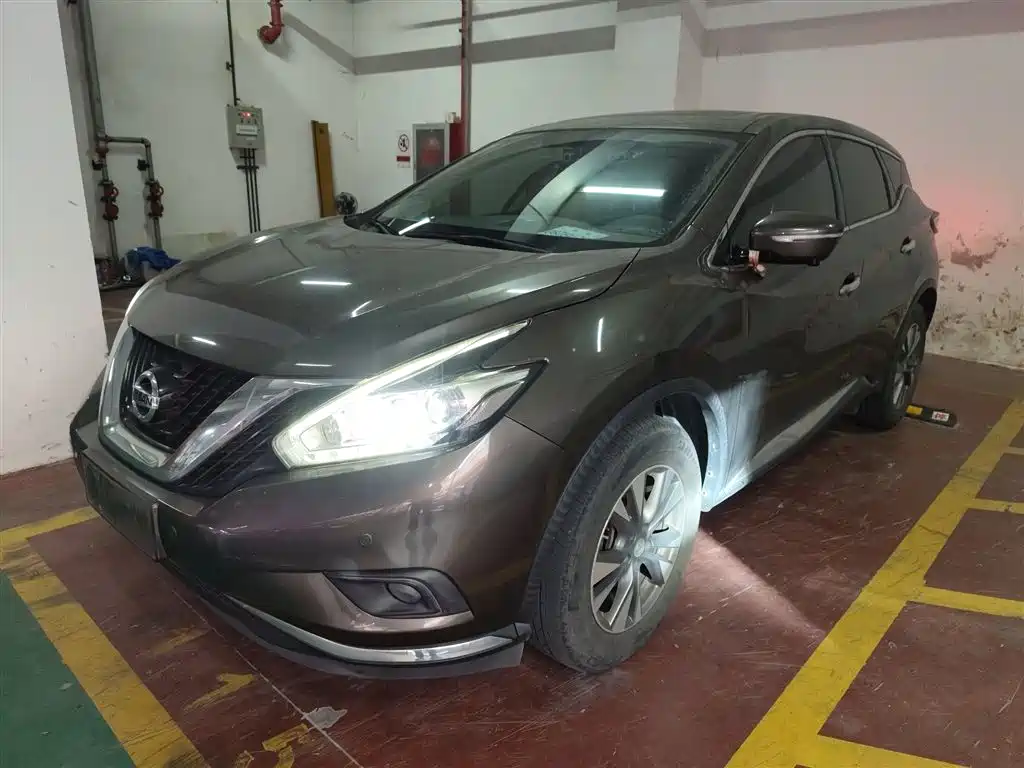 Loulan 2019 2.5L XL two-wheel drive Zhilian Deluxe Edition Country VI