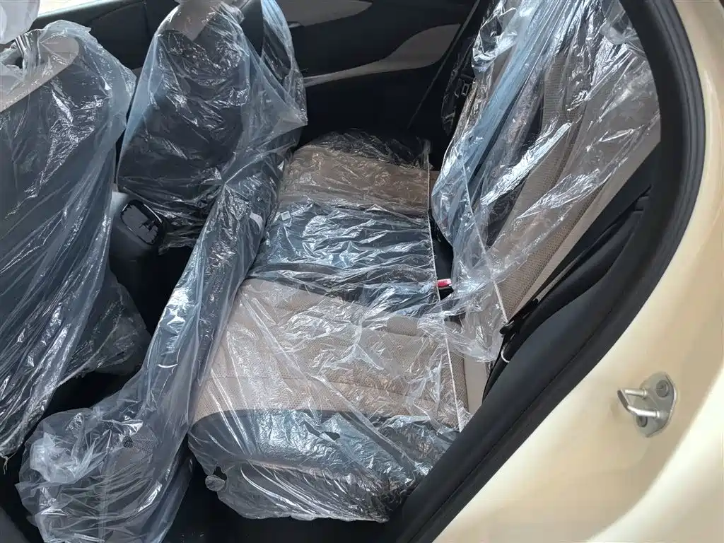 Dolphin 2025 Smart Driving Version 420km Free Version