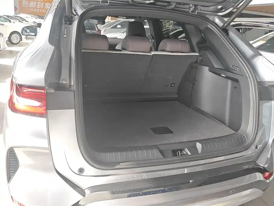 Sea Lion 07 DM-i 2025 Model 150 Pilot Edition