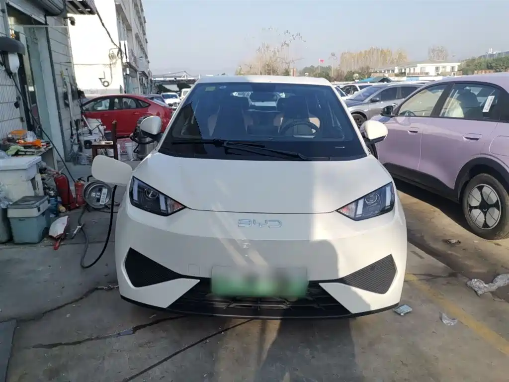 Seagull 2025 Smart Driving Version 305km Vitality Version