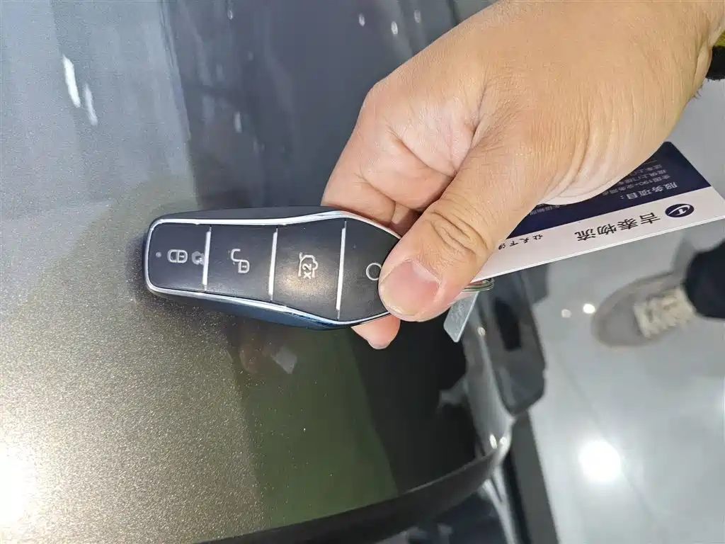 Song L DM-i 2025 Smart Driving Version 160km beyond Type