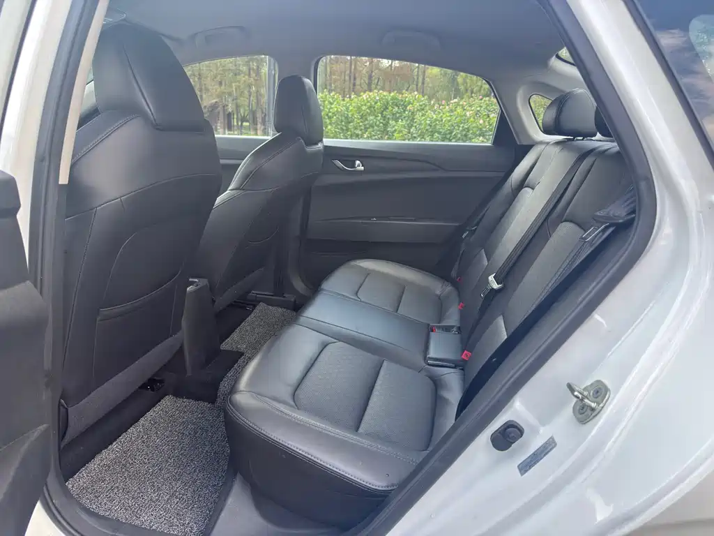 Yidong New Energy 2022 EV460 Zhixing Net Contract Version Lithium Iron Phosphate