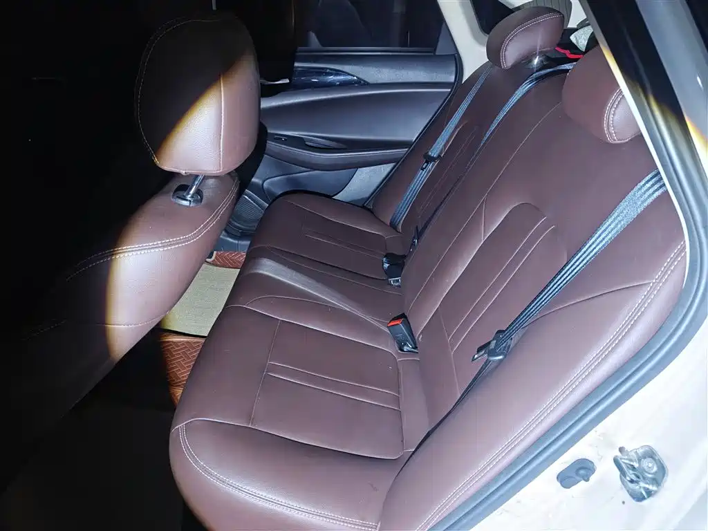 Yidong DT 2019 1.6L manual Comfort Type Country VI