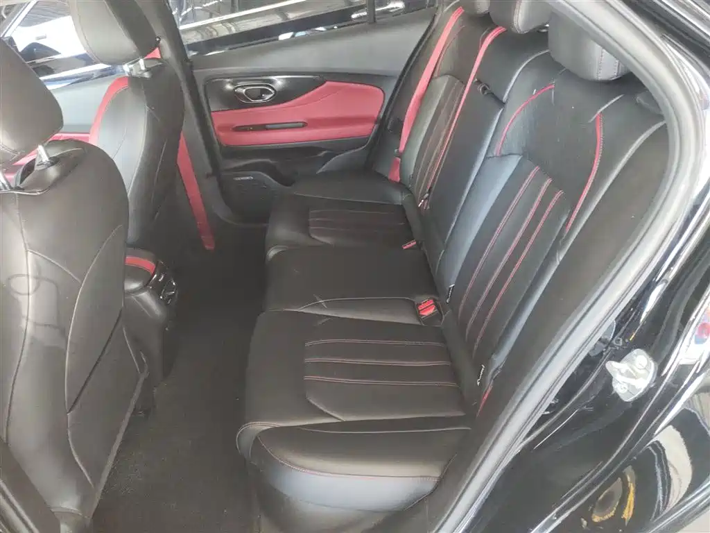 Shadow Leopard 2021 270T DCT J15 Version