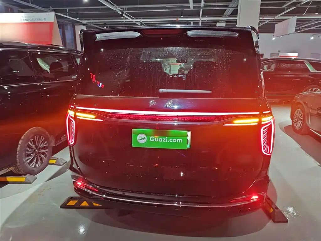 Hongqi HQ9 PHEV 2024 2.0T four-wheel drive Business Edition