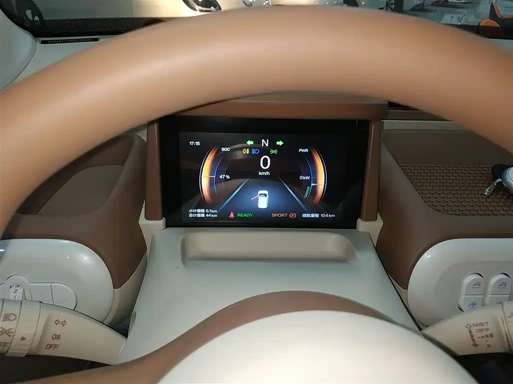 Pentium Pony 2026 222km Colorful Horse