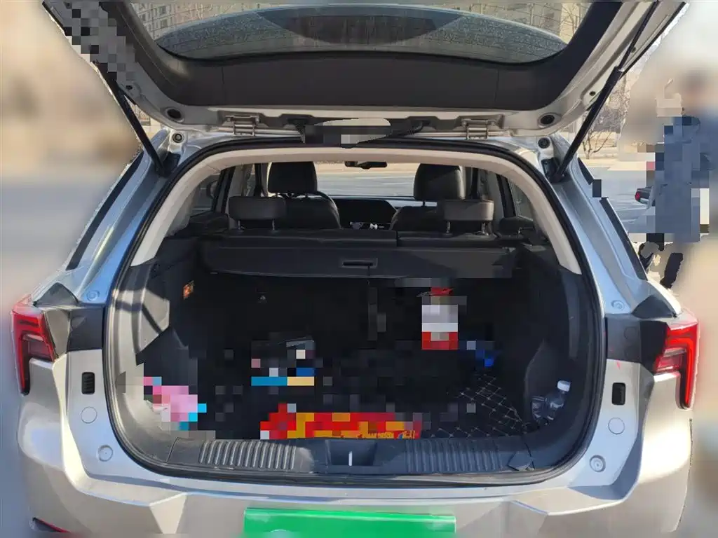 Pentium T55 2021 1.5T Automatic Lohas*Exclusive Edition