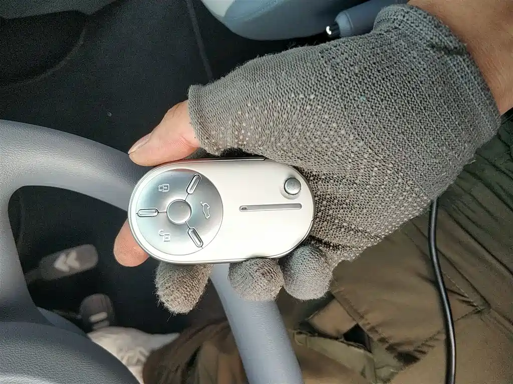 Pentium Pony 2025 222km Exquisite Horse