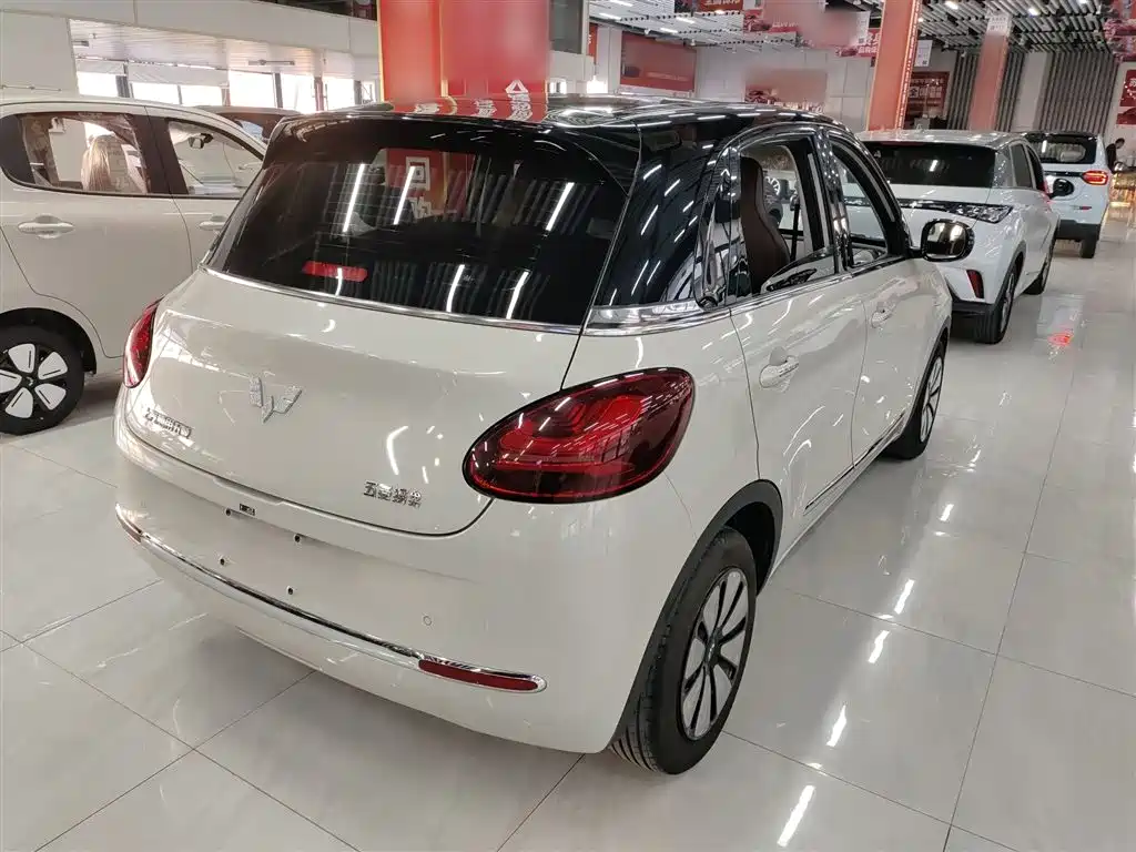 Wuling Bingguo 2023 Model 203km Comfortable Model