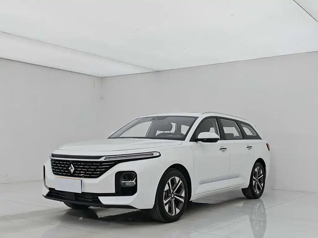 Baojun Valli 2021 1.5T Naqu Fanxing CVT flagship model