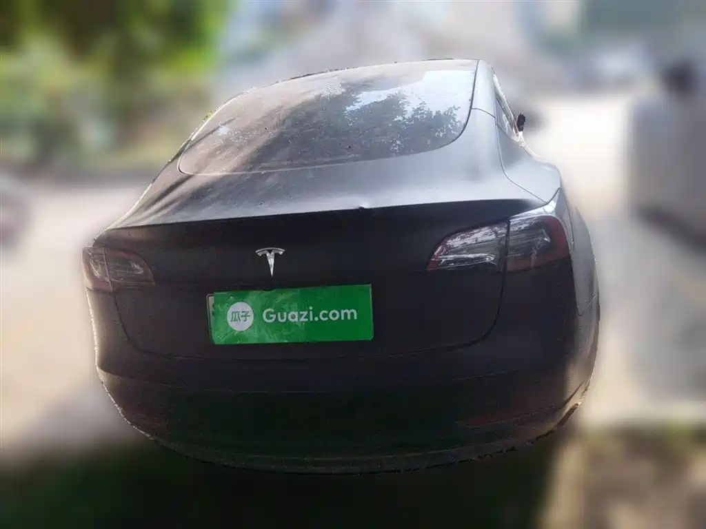 Model 3 2022 rear-wheel drive version