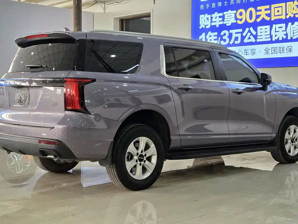 Haval H5 2023 2.0T automatic four-wheel drive leading diesel