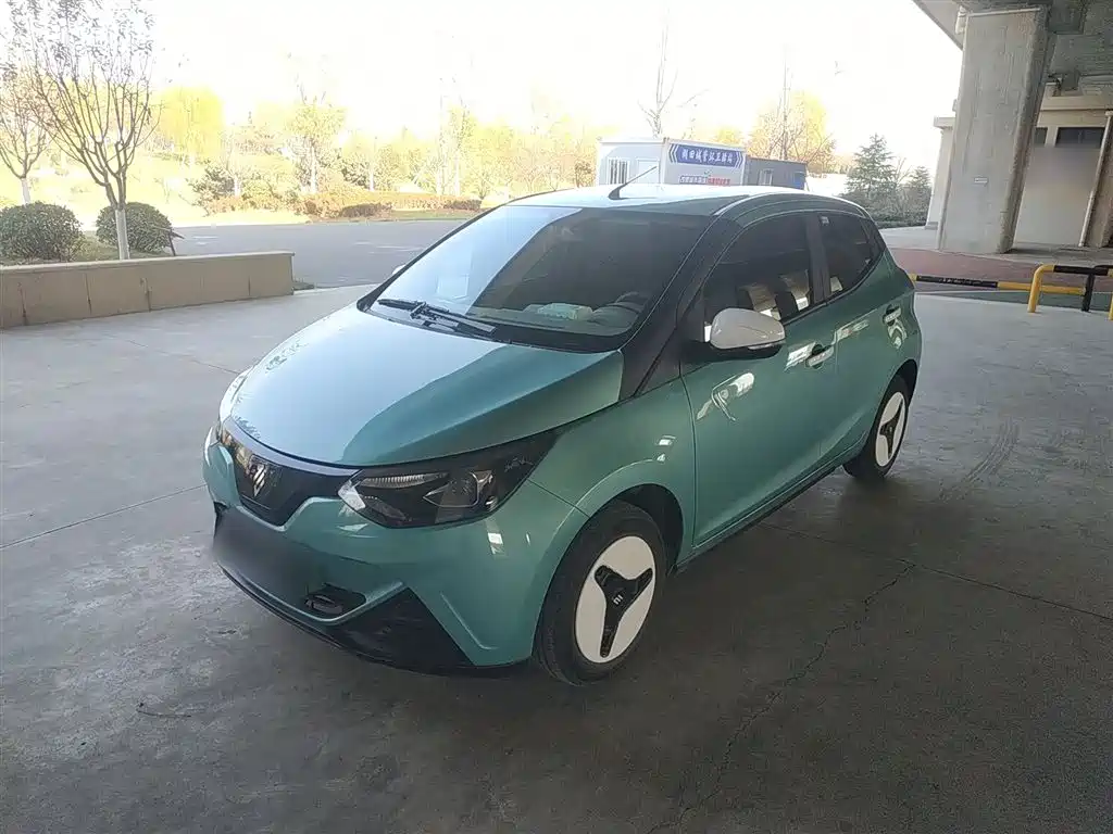 Easy to EV2 2024 201km comfort type