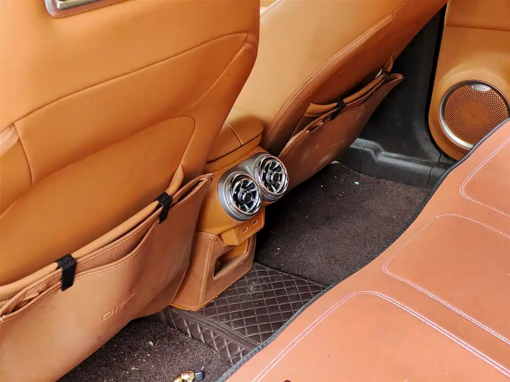 Euler Lightning Cat 2022 705km Long Battery Life Version