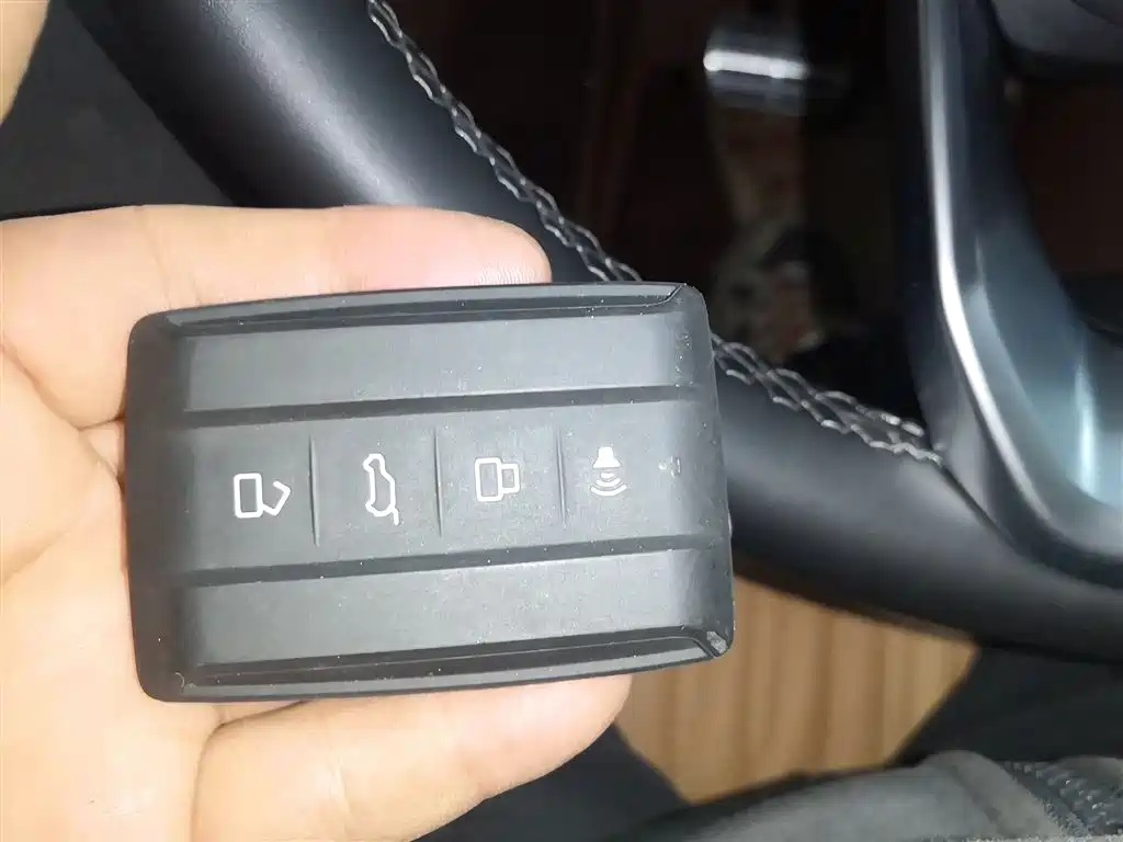 Tank 500 2022 model 3.0T sports version with 5 seats