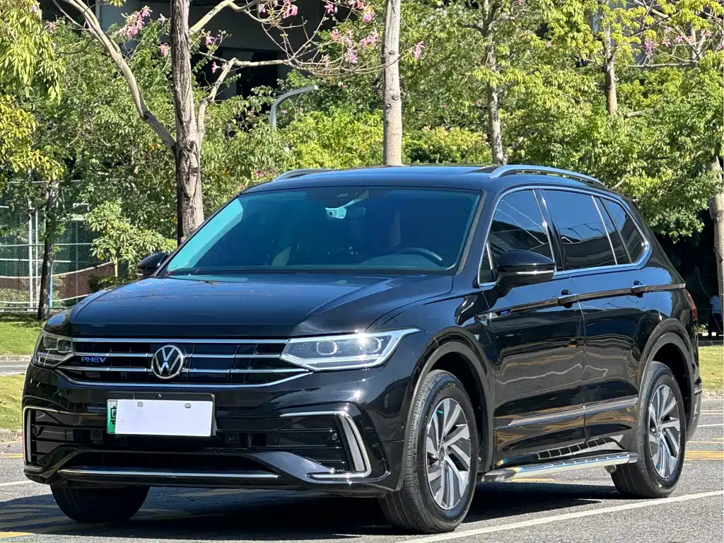 Tiguan L New Energy 2023 430PHEV plug-in hybrid Premium Edition