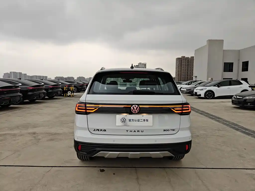 Tuyue 2024 300TSI two-wheel drive Monthly Edition