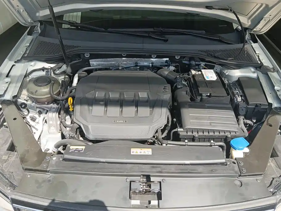 Magotan 2020 330TSI DSG Luxury