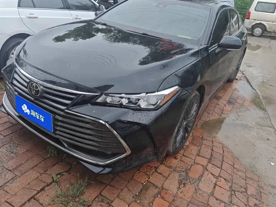 Asian Dragon 2019 2.0L XLE Exclusive Edition Country VI