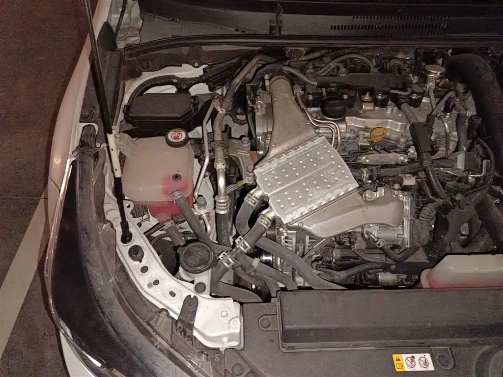 Ralink 2021 185T CVT Deluxe Edition