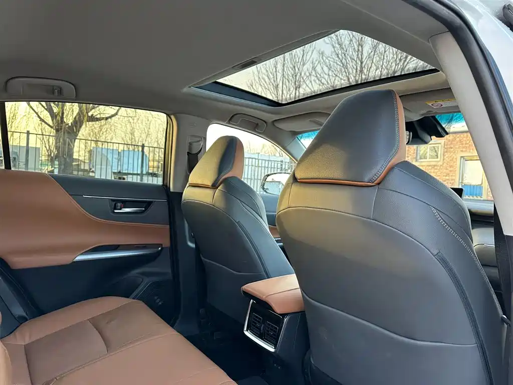 Weisha 2022 dual-engine 2.5L CVT two-wheel drive premium edition