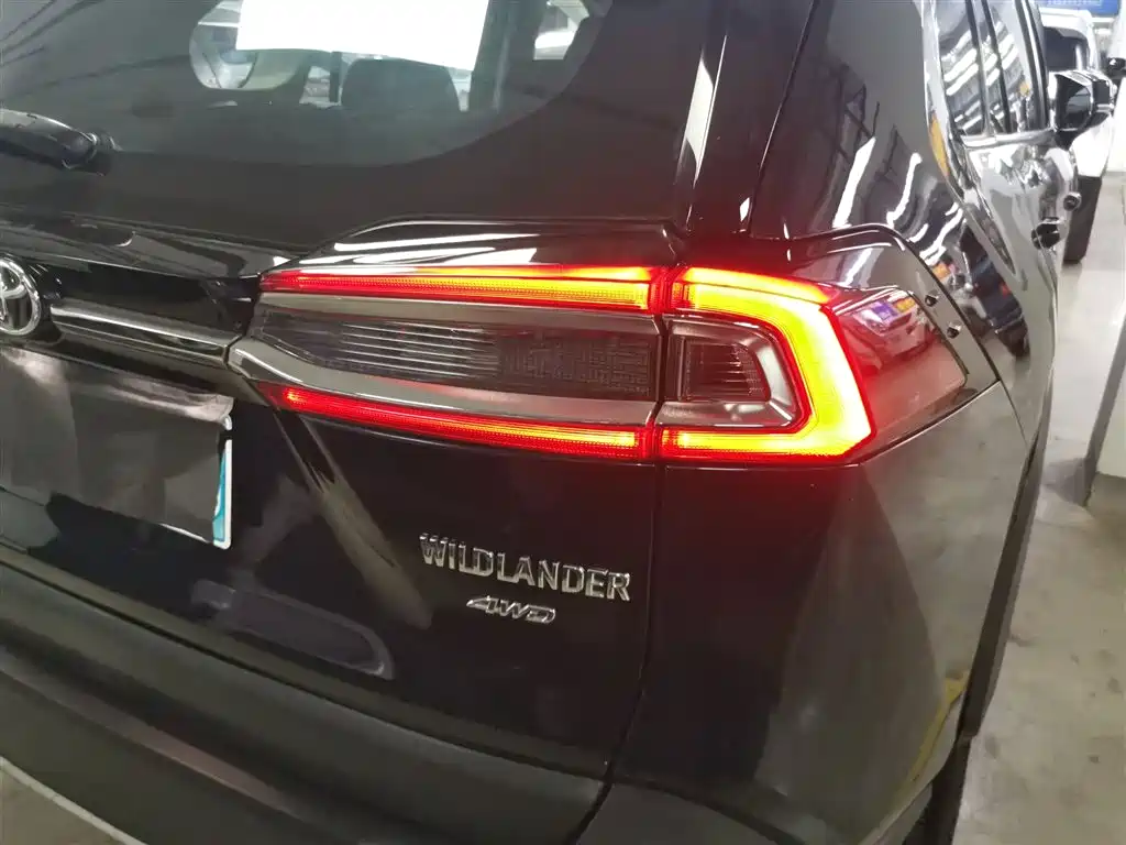 Weilanda 2020 2.0L CVT four-wheel drive Deluxe Edition