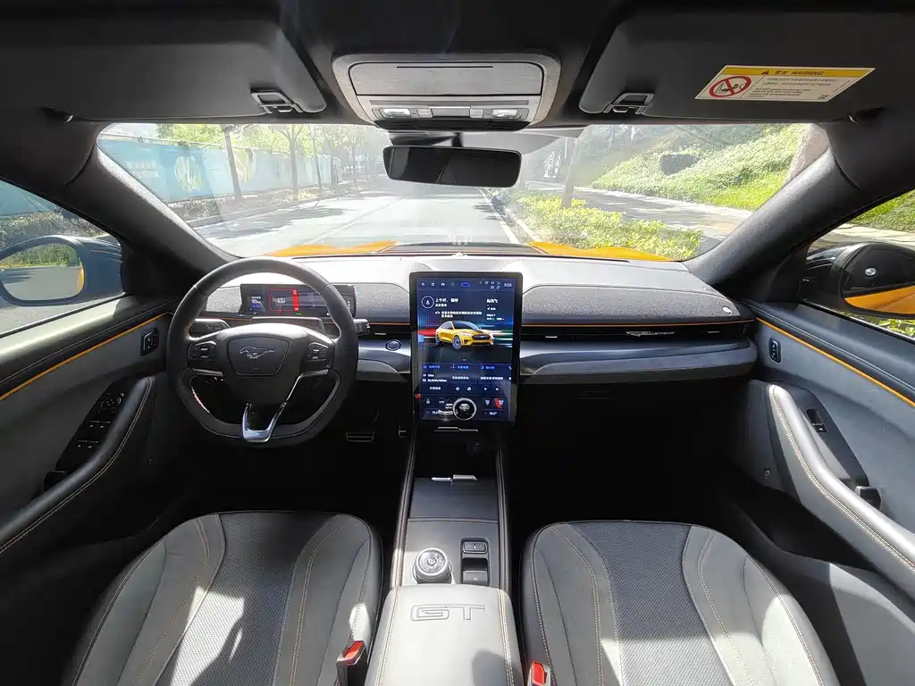 Ford Electric Horse 2024 GT Storm Edition