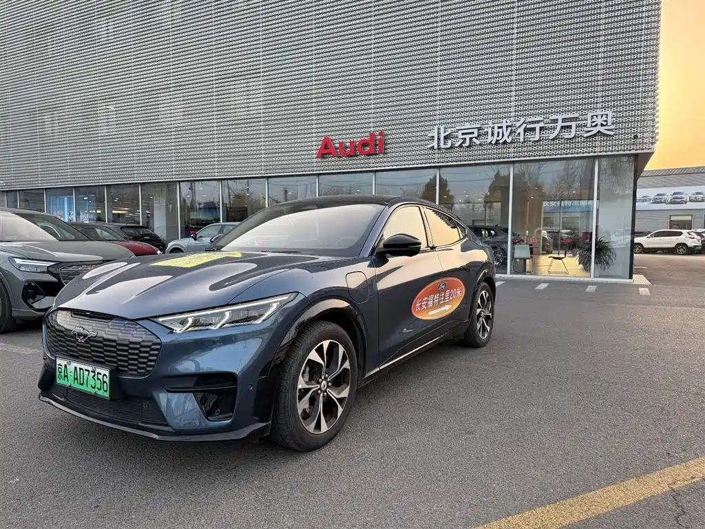 Ford Electric Horse 2021 Borderless Rear Drive Deluxe Edition Long Battery Life